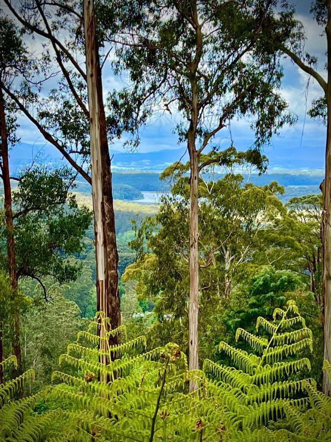 קלוראמה Melbourne Topview Villa In Dandenong Ranges Near Skyhigh מראה חיצוני תמונה