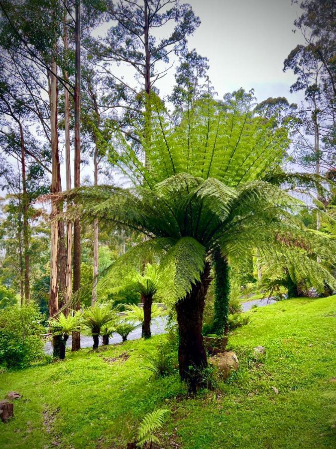 קלוראמה Melbourne Topview Villa In Dandenong Ranges Near Skyhigh מראה חיצוני תמונה