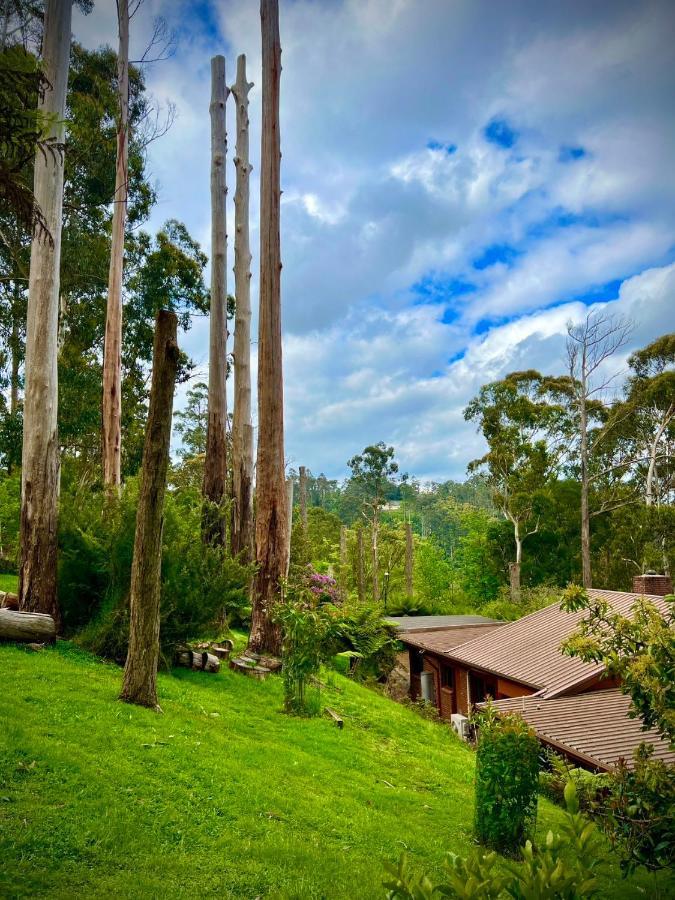 קלוראמה Melbourne Topview Villa In Dandenong Ranges Near Skyhigh מראה חיצוני תמונה