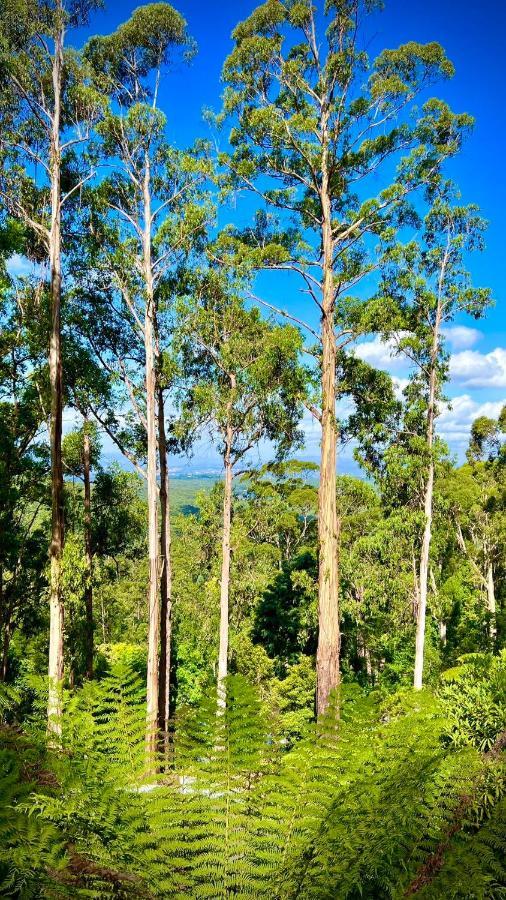 קלוראמה Melbourne Topview Villa In Dandenong Ranges Near Skyhigh מראה חיצוני תמונה
