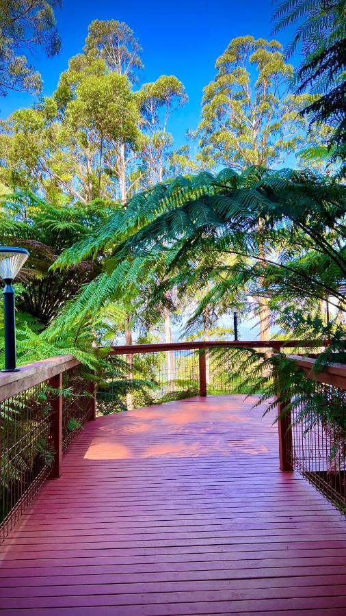 קלוראמה Melbourne Topview Villa In Dandenong Ranges Near Skyhigh מראה חיצוני תמונה