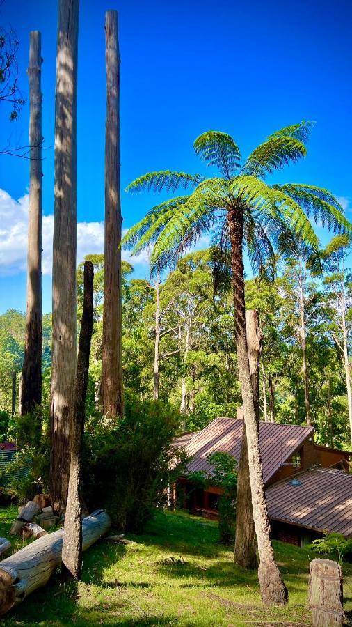 קלוראמה Melbourne Topview Villa In Dandenong Ranges Near Skyhigh מראה חיצוני תמונה