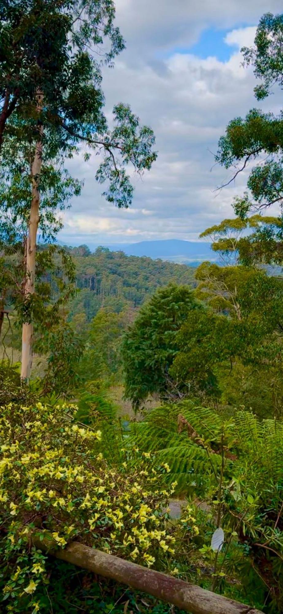 קלוראמה Melbourne Topview Villa In Dandenong Ranges Near Skyhigh מראה חיצוני תמונה