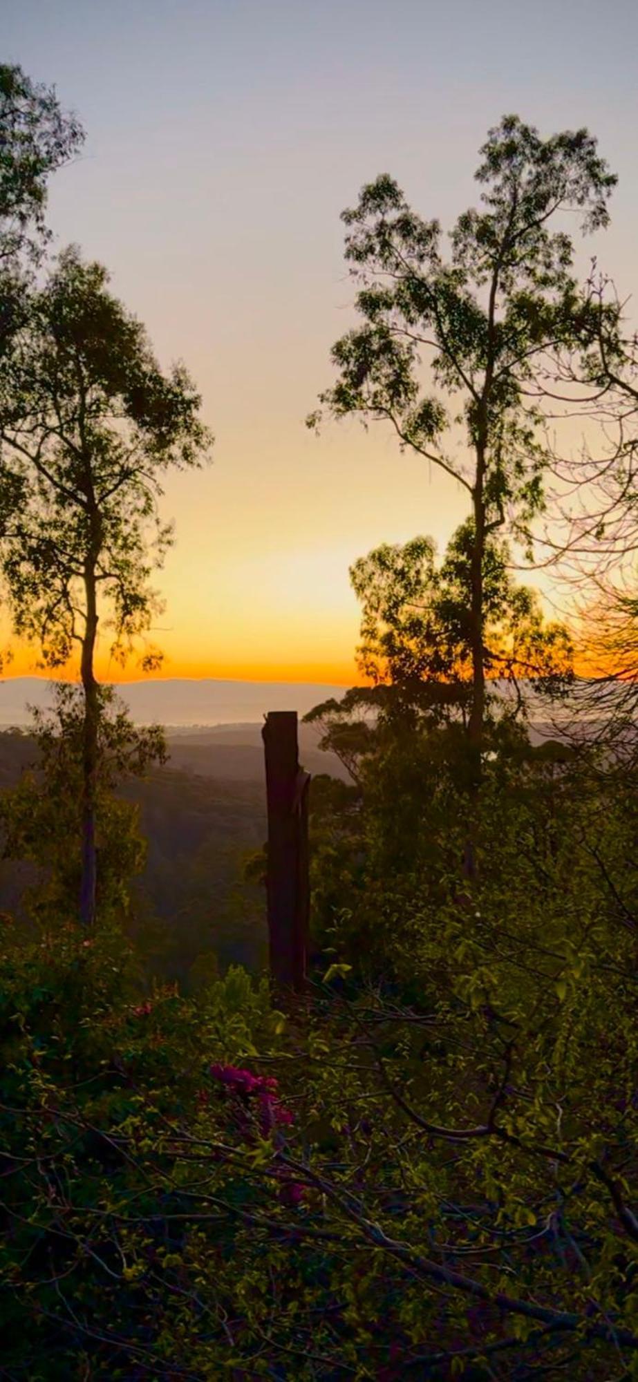 קלוראמה Melbourne Topview Villa In Dandenong Ranges Near Skyhigh מראה חיצוני תמונה